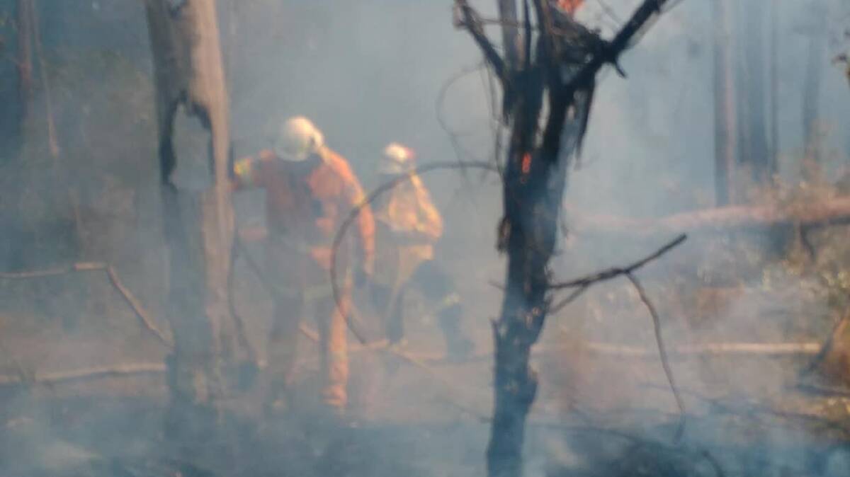 Agencies plan significant hazard reduction burn at Hat Head National Park