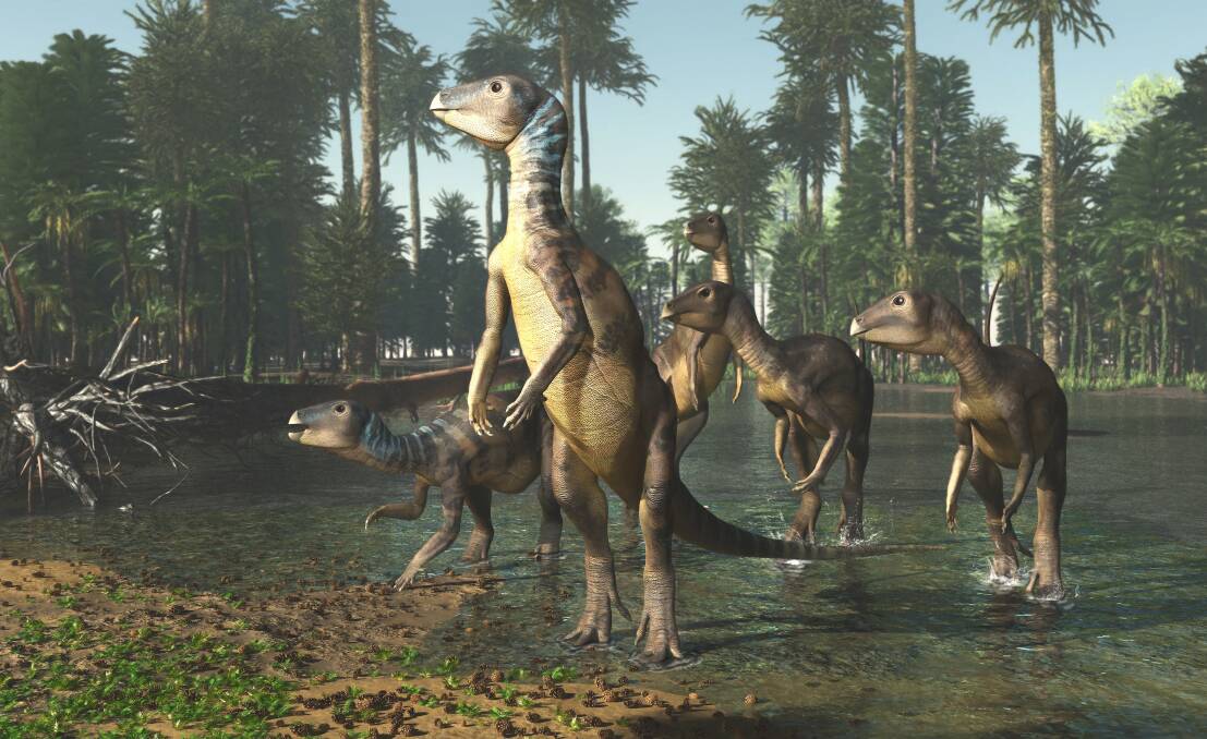 New dinosaur found in NSW