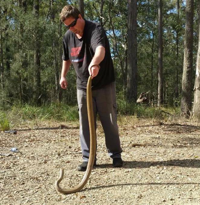 Snake season typically begins around October, when the weather starts to warm up. Photo: Supplied