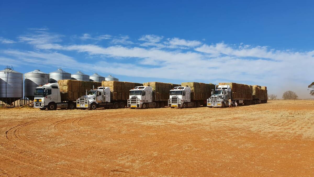 Rapid Relief Team hay drop to the NSW South Coast
