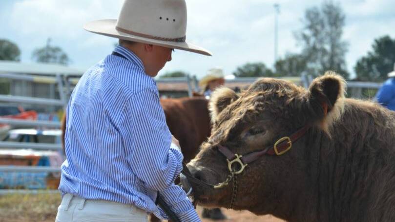 COVID cruels Kempsey Show as heartbroken committee sets sights on 2022