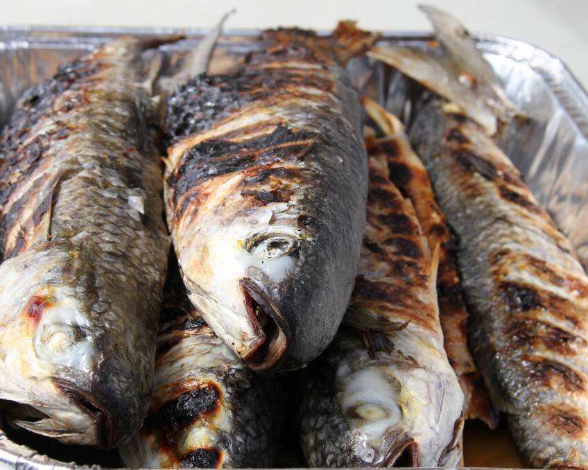 Tray of cooked whole mullet - head to South West Rocks this Friday