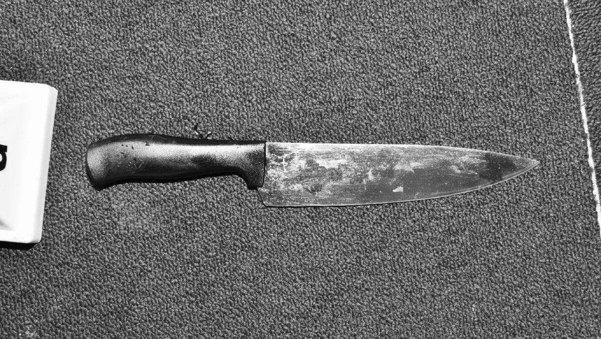 On of the knives used in the stabbing. The photo has been changed to black and white due to its graphic content. Picture: Supplied