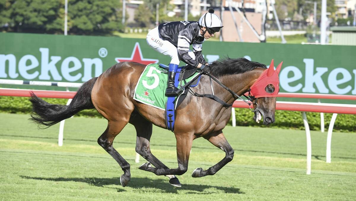Out: A fractured pelvis will see Victorem not compete at The Kosciuszko on October 16. Photo: Bradley Photographers