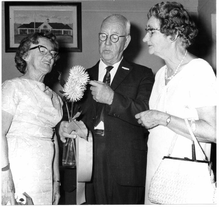 William (Bill) Flanigan inspecting a dahlia bloom in 1970 (Macleay Argus)