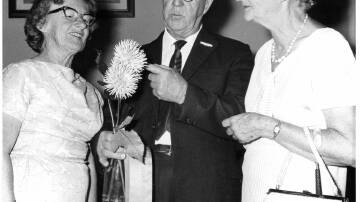 William (Bill) Flanigan inspecting a dahlia bloom in 1970 (Macleay Argus)