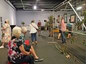 Exhibition of "Wildlife in the Macleay" 