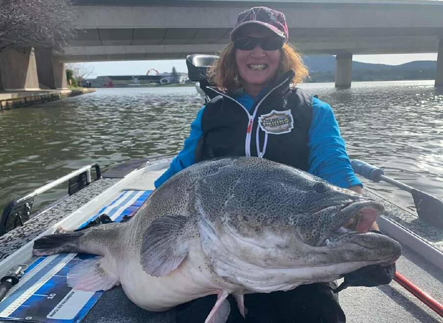 Marie Haalebos and the massive Murray cod she found in Canberra. Picture: Total Native Fishing
