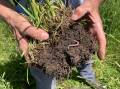 Agronomists with knowledge of soil biology will play an increasingly important role in modern farming.