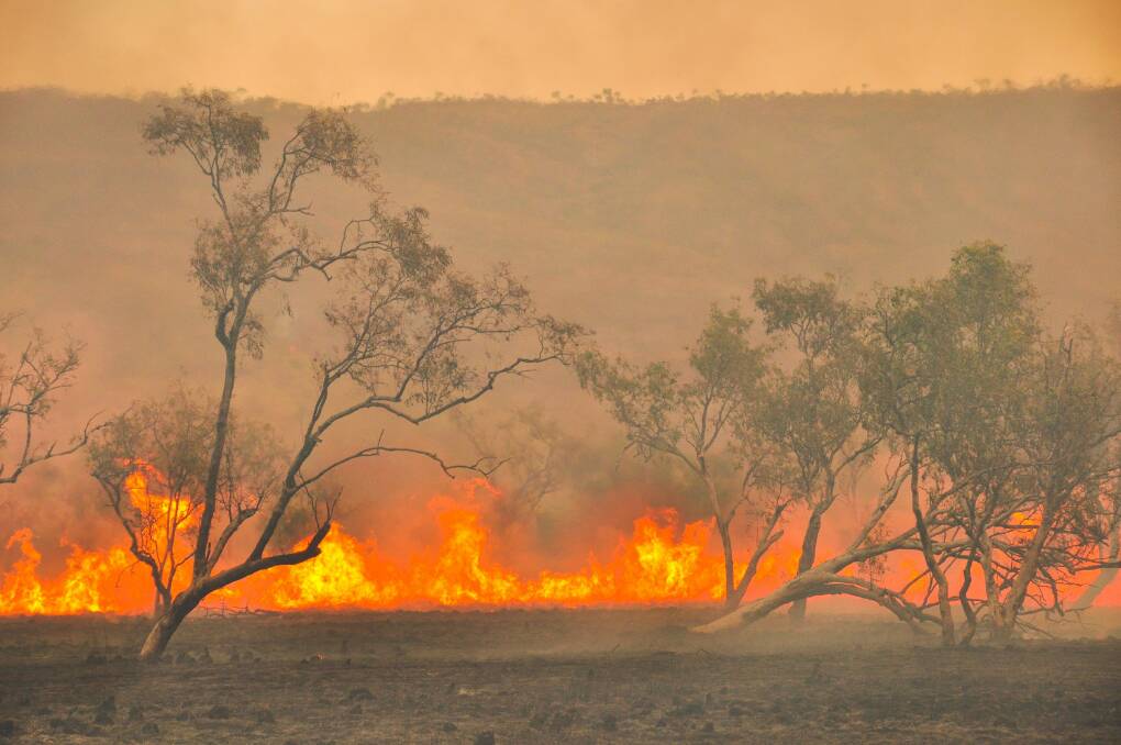NSW RFS Deputy Commissioner warns: Don't be complacent this summer