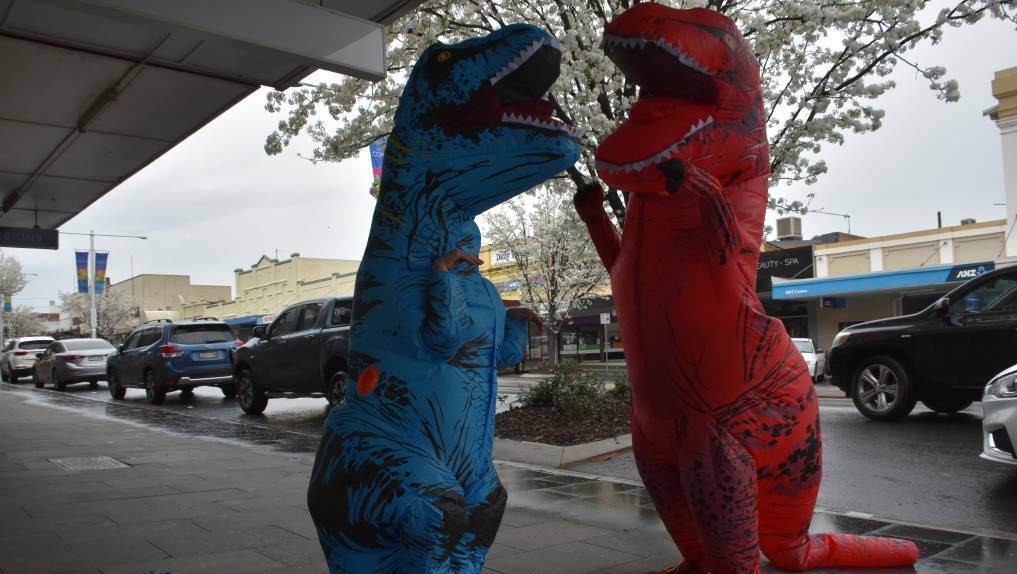 Dinasours had the main street of Cowra almost to themselves during lockdown.