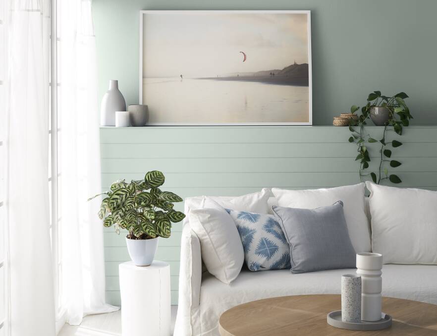 How Paint Colour Affects Your Mood The Macleay Argus Kempsey Nsw - Grey Green Paint Colours Australia