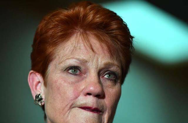 Pauline Hanson is the deputy chair of a family law parliamentary inquiry. 