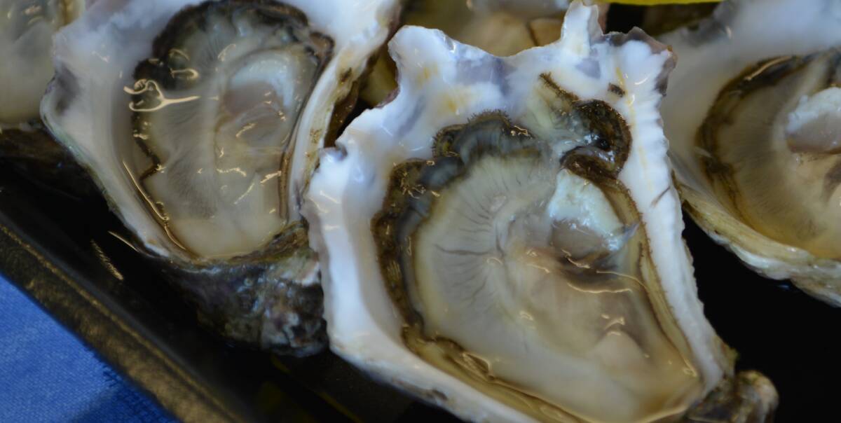 Police on the hunt for Macleay oyster thieves