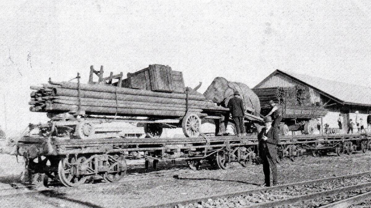 Circus Trains: From 1888, Wirth’s Circus had taken up rail as their preferred method of travel. During the 1920s Wirth’s made annual trips to Kempsey.