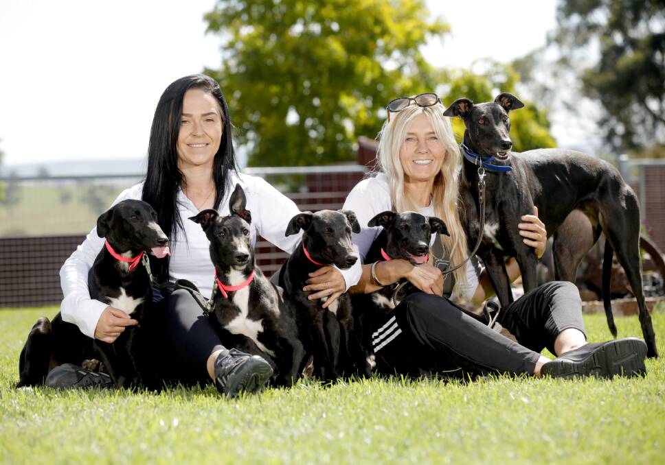 Hayley Moffitt (left) and Jodie Lord with Shes A Pearl and her four pups set for the GRNSW Puppy Auction. Photo Ross Schultz