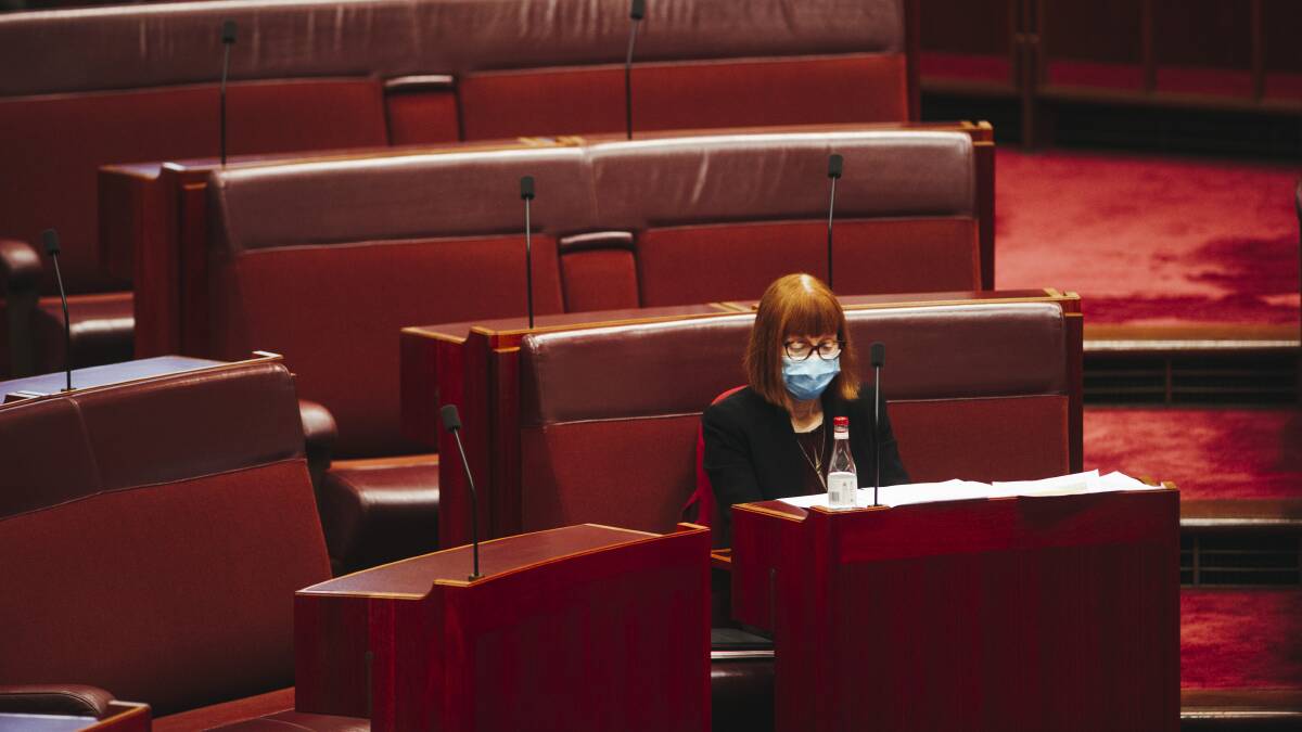 Senator Siewert in the chamber on Monday. Covid restrictions meant few senators could be physically present for her valedictory on Wednesday. Picture: Dion Georgopoulos
