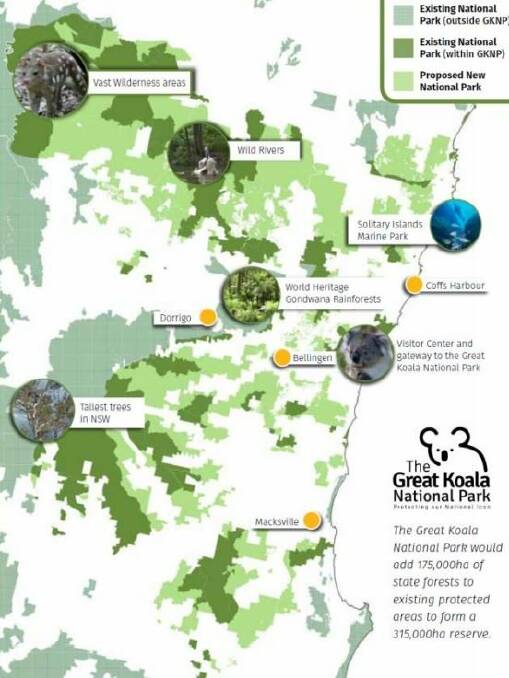 Independent report says Great Koala National Park will generate $1.2 billion regional return