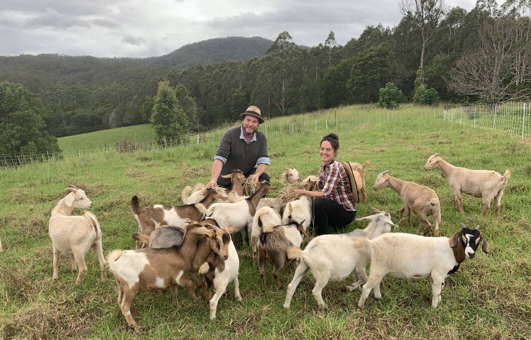 Adam Norris and Amanda Carter with some of their goats in a specially fenced paddock
