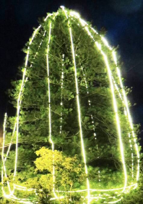 Christmas Carols by the Christ Light Tree
