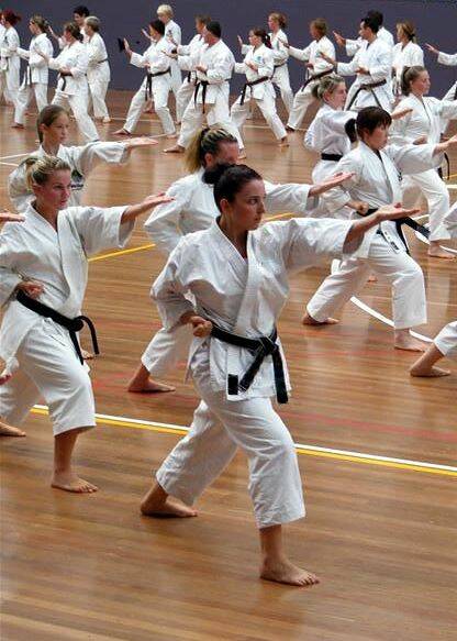 Bellingen Fuji Karate Club takes part in international training course