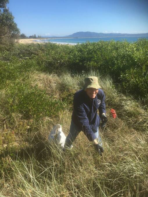 Tough place to work but someone's gotta do it! South West Rocks Community Dune Care volunteer Bob Wolcott weeding a 'Mother of Millions' flower at Main Beach in July. Photo supplied.