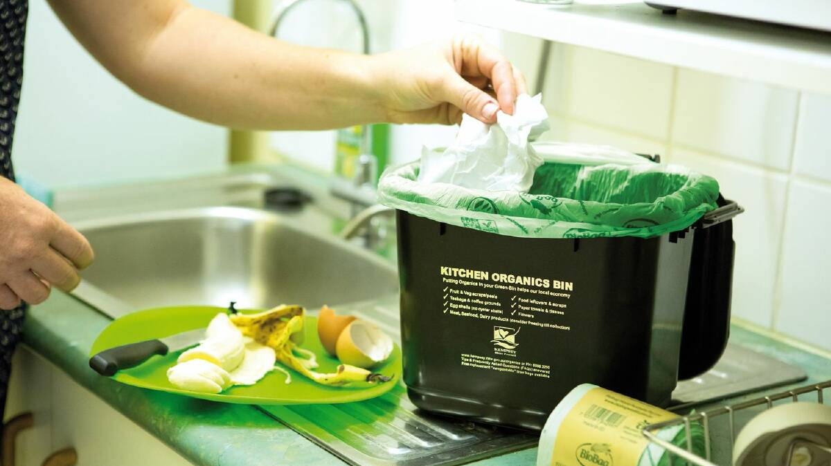 BIN IN: Meat, fish, bones, fruit, vegetables, leftovers, tea bags and coffee grounds go in the kitchen organics bin. 