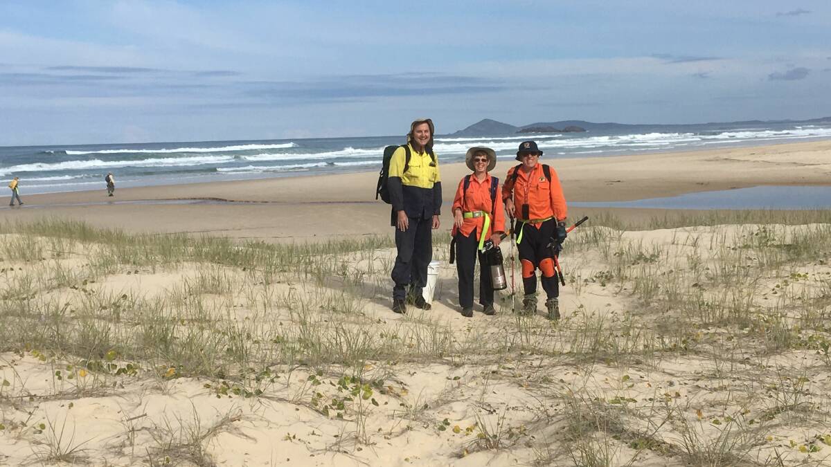 Volunteers are welcome to join in the monthly ‘bitou bash’ working bee for South West Rocks Community Dune Care at South Smoky Beach on Sunday, September 23 between 9am and 1pm. 