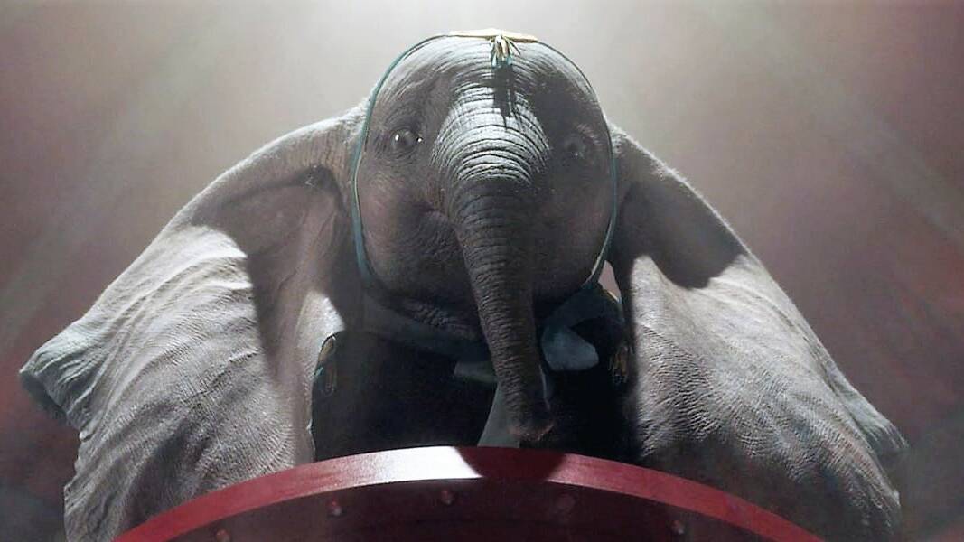 Dumbo: Little elephant set to make a big impression on the silver screen. For all movie times at South West Roxy Cinema go to swroxycinema.com.au or call 6566 5811. 
