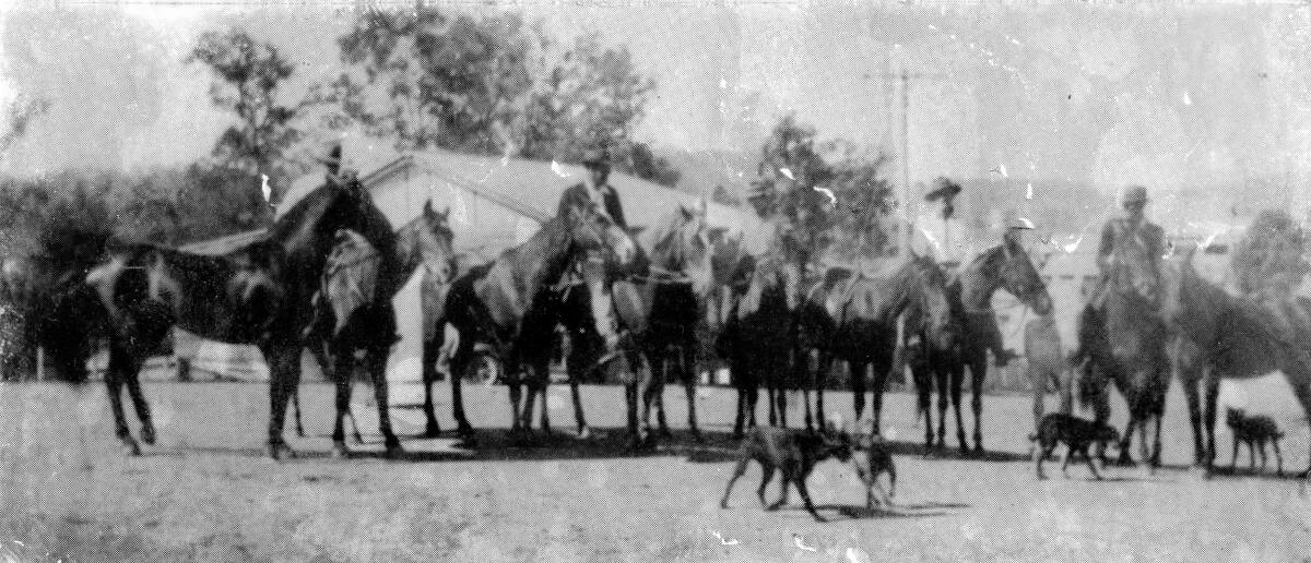 Horsemen at Bellbrook with some of Dan Davis bloodstock. Photo courtesy of Kempsey Museum