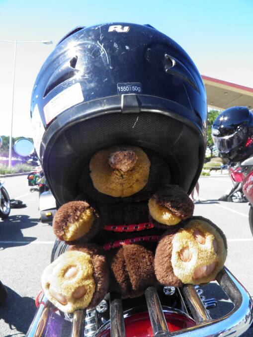 Even the teddy is wearing a helmet.