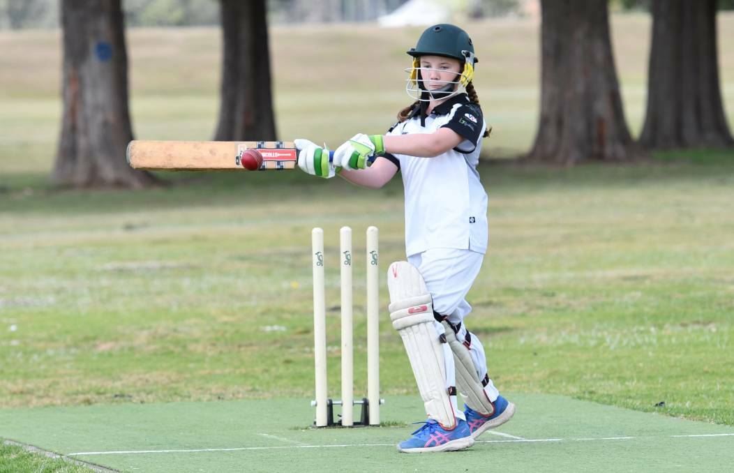 Macleay Valley Cricket Association has set a return to play date
