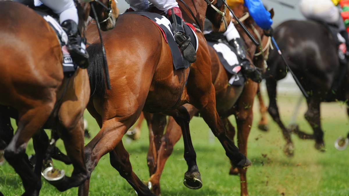 Macleay trainers looking for Taree triumph