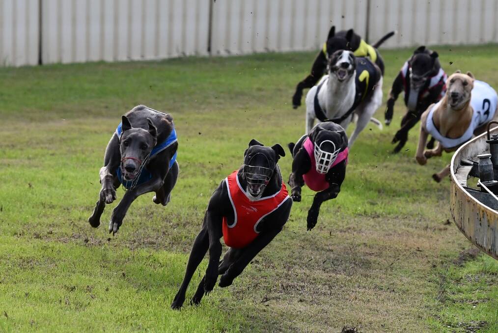 Racing at the Kempsey Cup earlier this year. 
