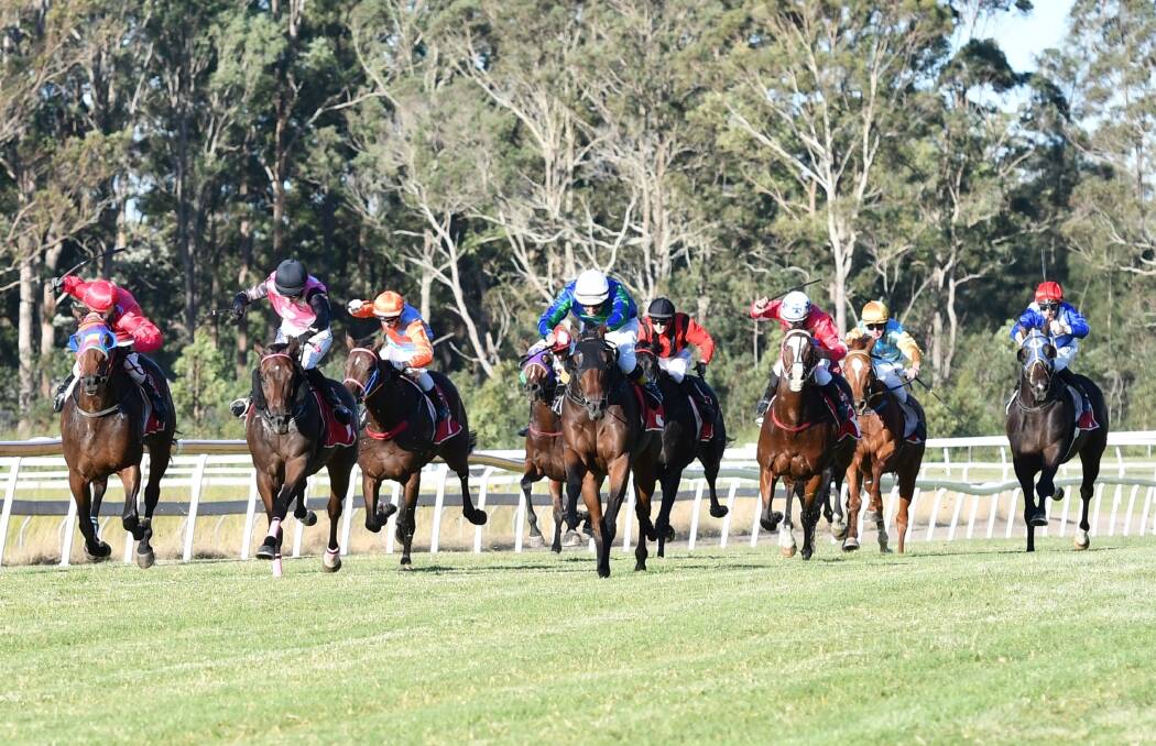 Horses run down the straight at Kempsey racecourse. 