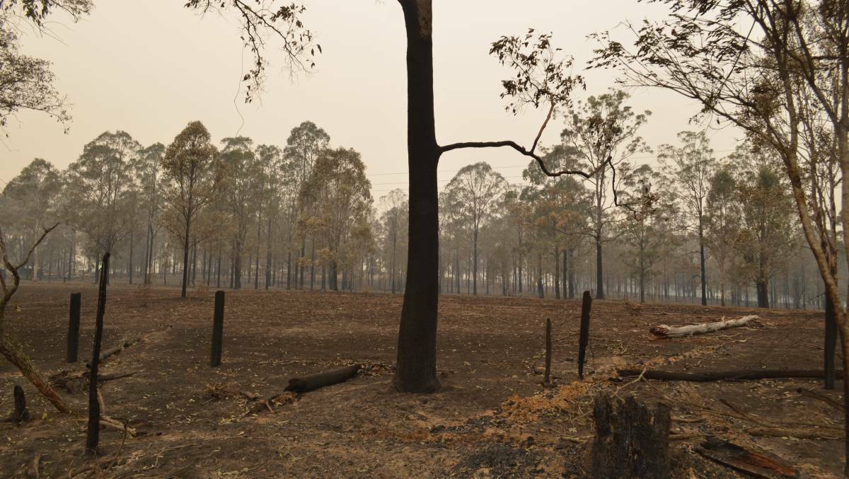 Willawarrin was seriously affected by fires in November last year. Photo: File