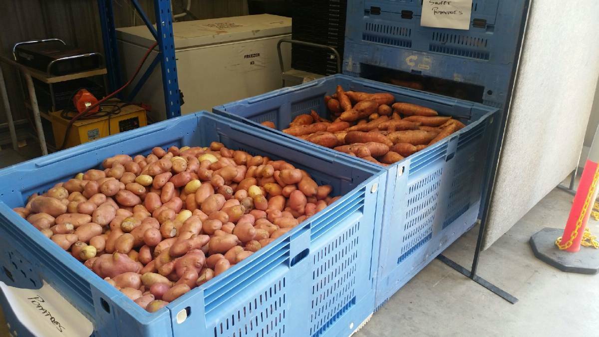 Pallets full of potatoes for distribution to members.