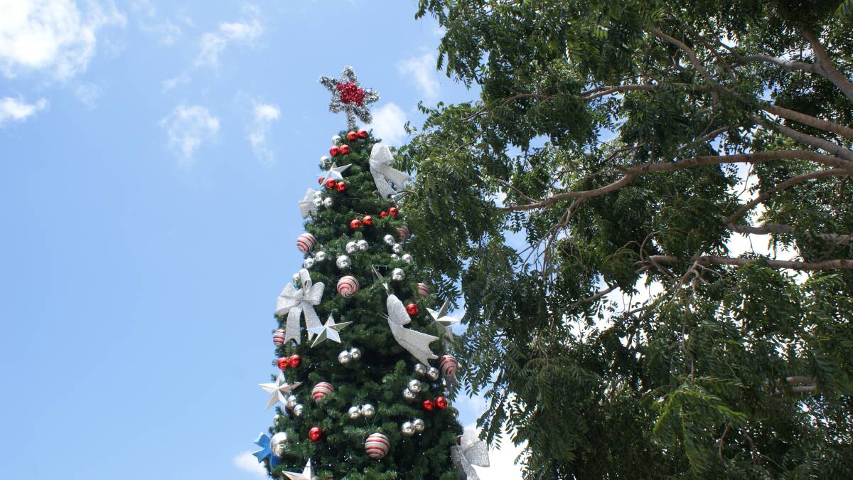 KEMPSEY CBD SHINES: The Kempsey Christmas tree.