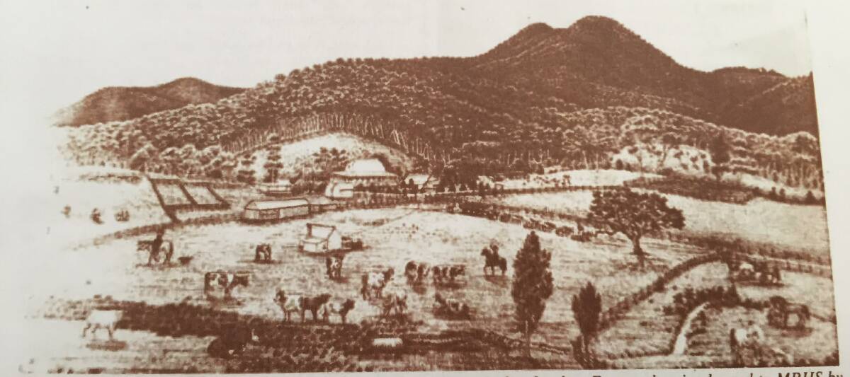 Image of the Sauer Home at Nulla Nulla. The house was built almost entirely from cedar. Image: from a drawing loaned to the Macleay River Historical Society. 