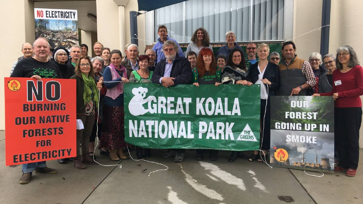 Greens make their Great Koala National Park move