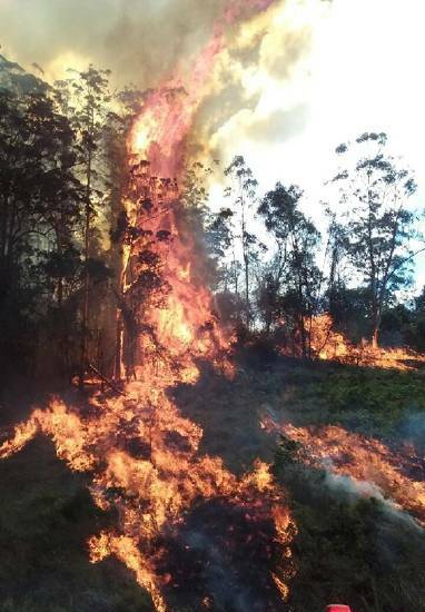 Oxley Highway remains closed due to bush fires