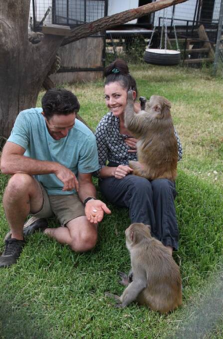 REHOMING: Matthew Ezekial with wife Wonona West-Smith and the monkeys. Photo: Supplied.