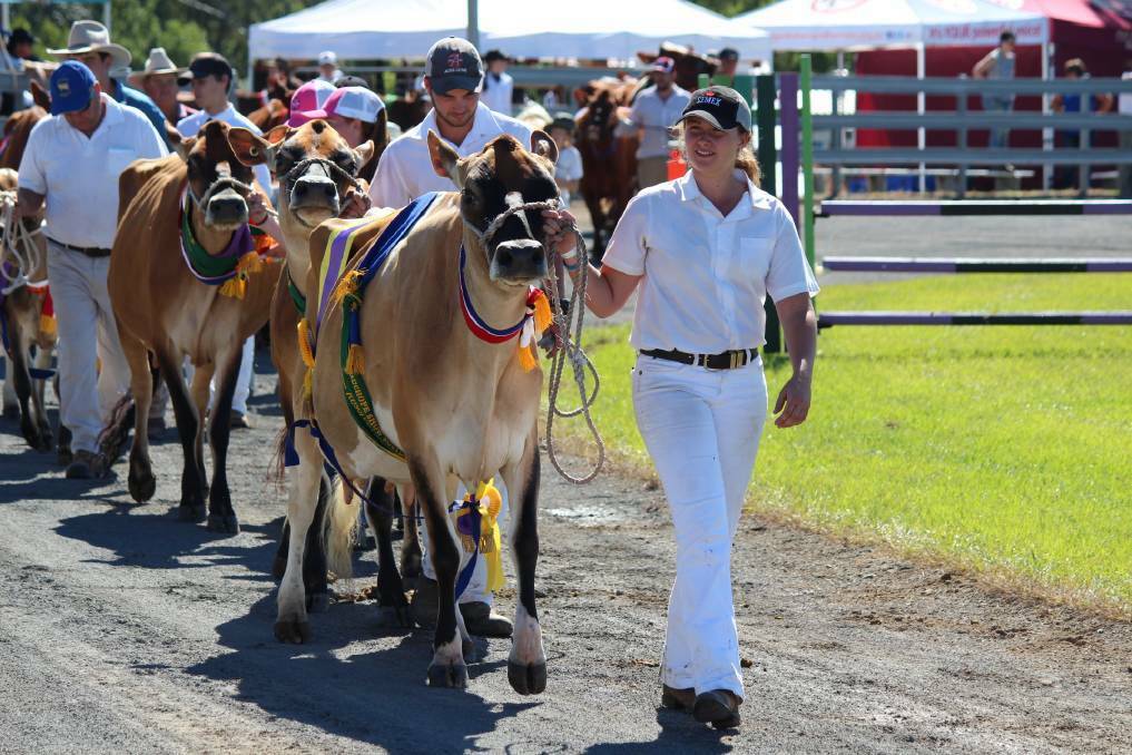 Camden Haven, Wauchope and Kempsey Show Societies are all considering applying for the NSW Government's $5 million Country Shows Support Package.