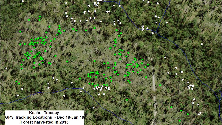 Monitoring logging: Tracking data for koalas in a harvested area