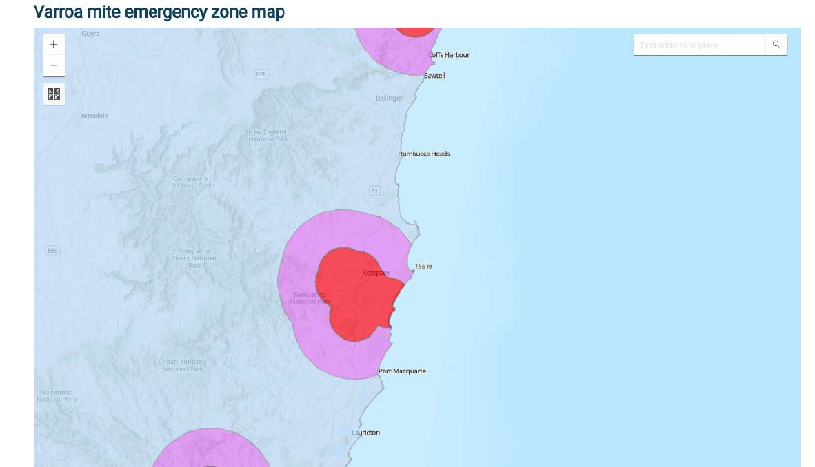 The new detections have expanded the red zone to the coastline at Crescent Head and further south. Picture, DPI