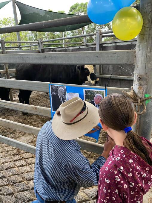 Fundraising bullock in the auction yard along with the message written by Darryl Kirkbride's grandchildren. Photo: Supplied 
