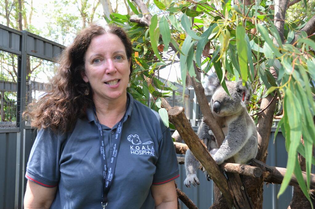 Koala Conservation Australia general manager Maria Doherty. Picture by Ruby Pascoe