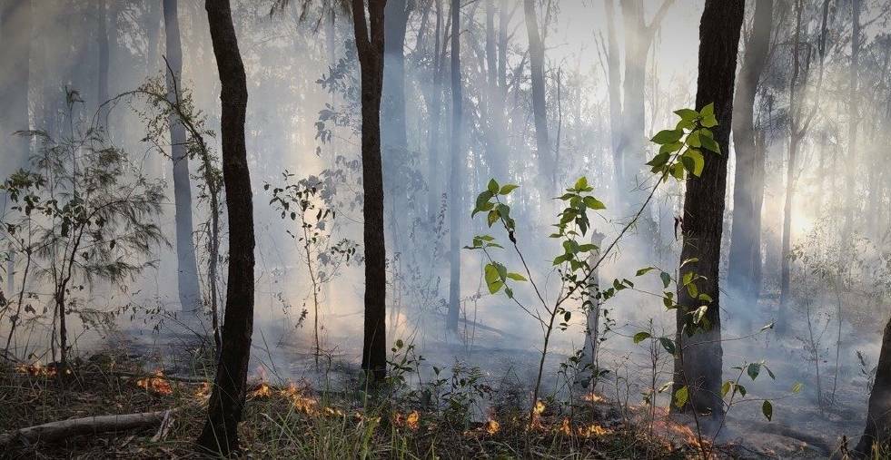 Three fires are burning in the Macleay. Photo: NSW RFS