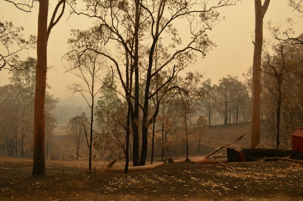 The devastation left behind by the Carrai East bushfire. Photo: Callum McGregor