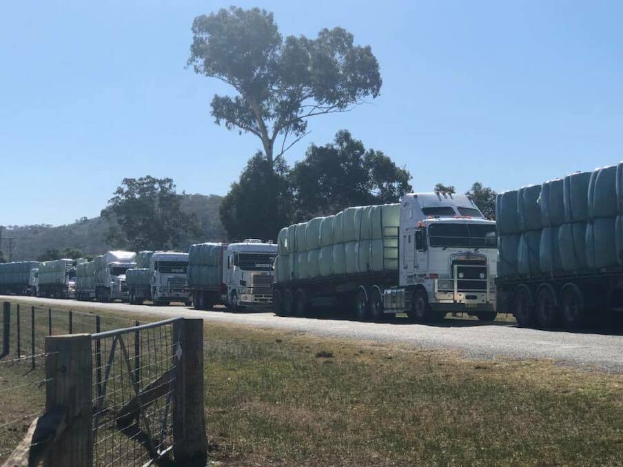 Convoy of trucks delivering the hay. Photo: The Macleay Hay Run